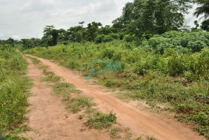 Access Roads_Mosa Phase 1, Ota Ogun State
