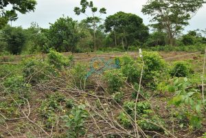Plots of Land for Sale at Baba Ode, Ota, Ogun State