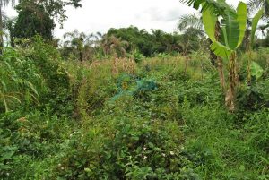 Plots of Land for Sale at Mosa (Phase 2), Ota Ogun State