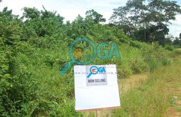 Acres of Land for Sale at Orimerunmu, Near Ibafo, Ogun State