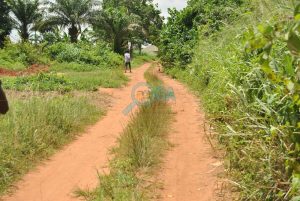 Access Roads at Adefarasin in Ota, Ogun State 1