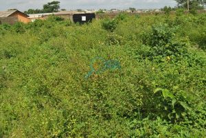 Plots of Land for Sale at Ilogbo (Phase 2), Ogun State