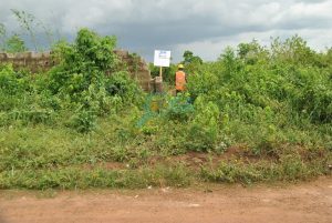 Plots of Land for Sale at Ilogbo, Ogun State
