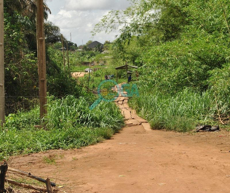 Local foot bridge - Landmarks at Adefarasin in Ota, Ogun State