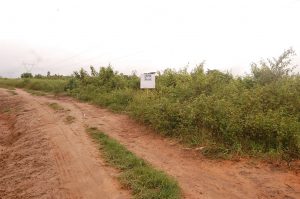 Plots of Land for Sale at Akinsinde, Ifo, Ogun State