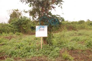 Plots of Land for Sale at Ogunwende, Ifo, Ogun State