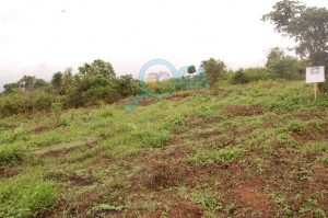 Plots of Land for Sale at Coker (Phase 2) Ifo, Ogun State