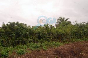 Plots of Land for Sale at Coker (Phase 2) Ifo, Ogun State